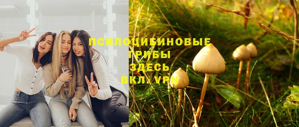 спиды Аркадак